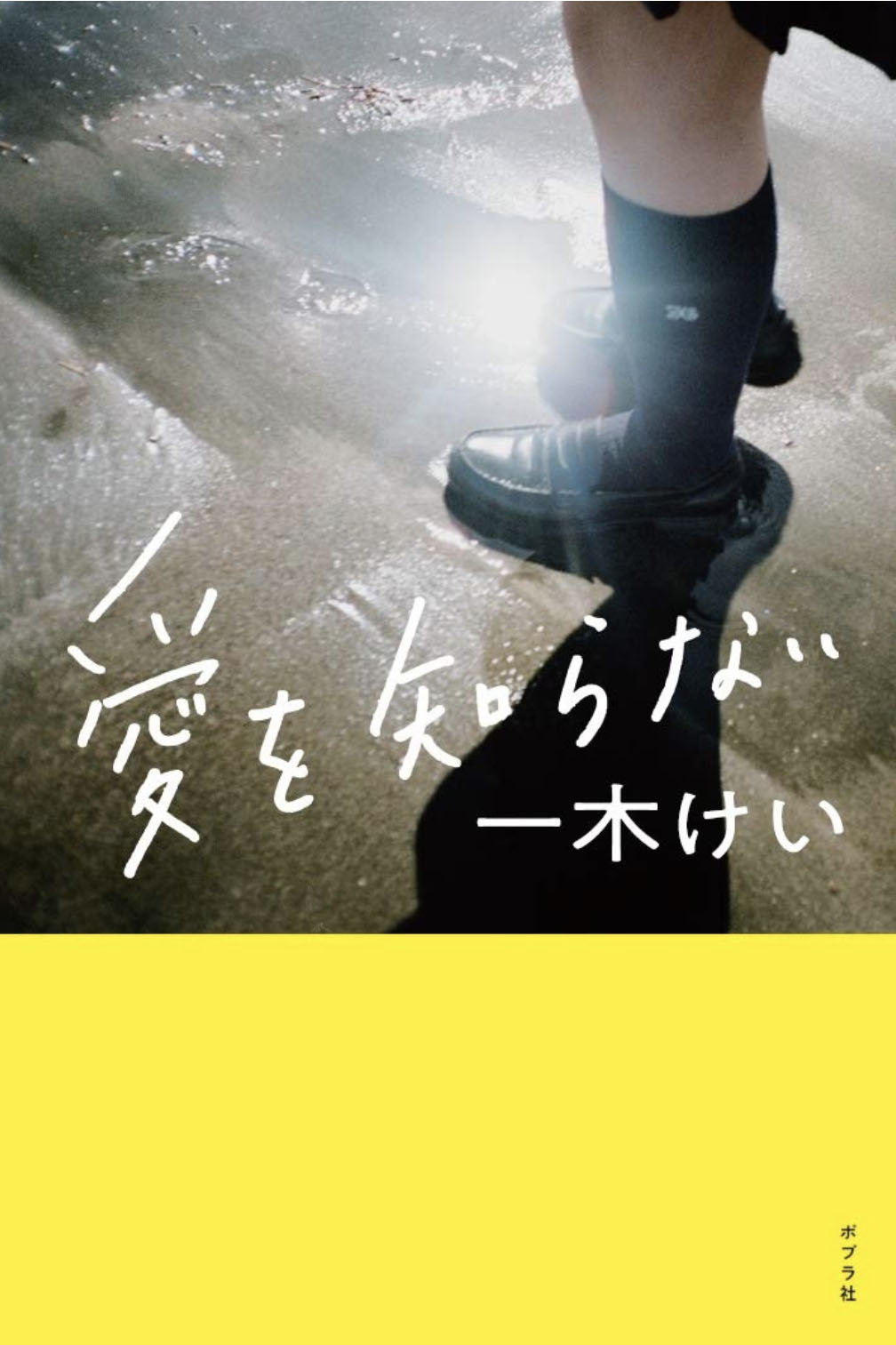 愛を知らない_書影