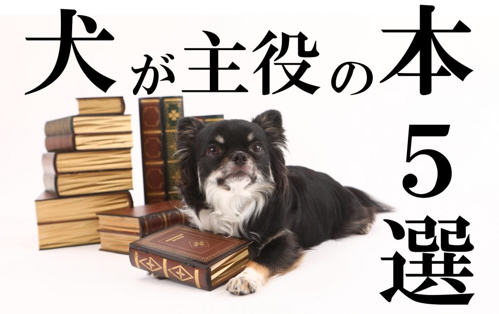 官能劇画　犬 伝説の人面犬 - その他