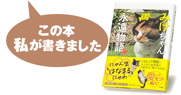 村上しいこ『みけちゃん永遠物語』