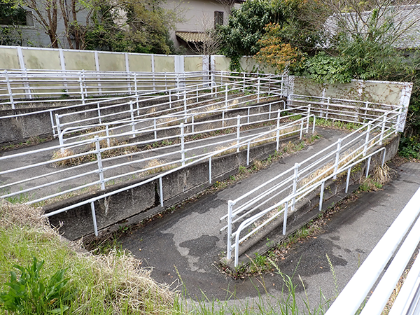 それでも上り下りは大変そう。