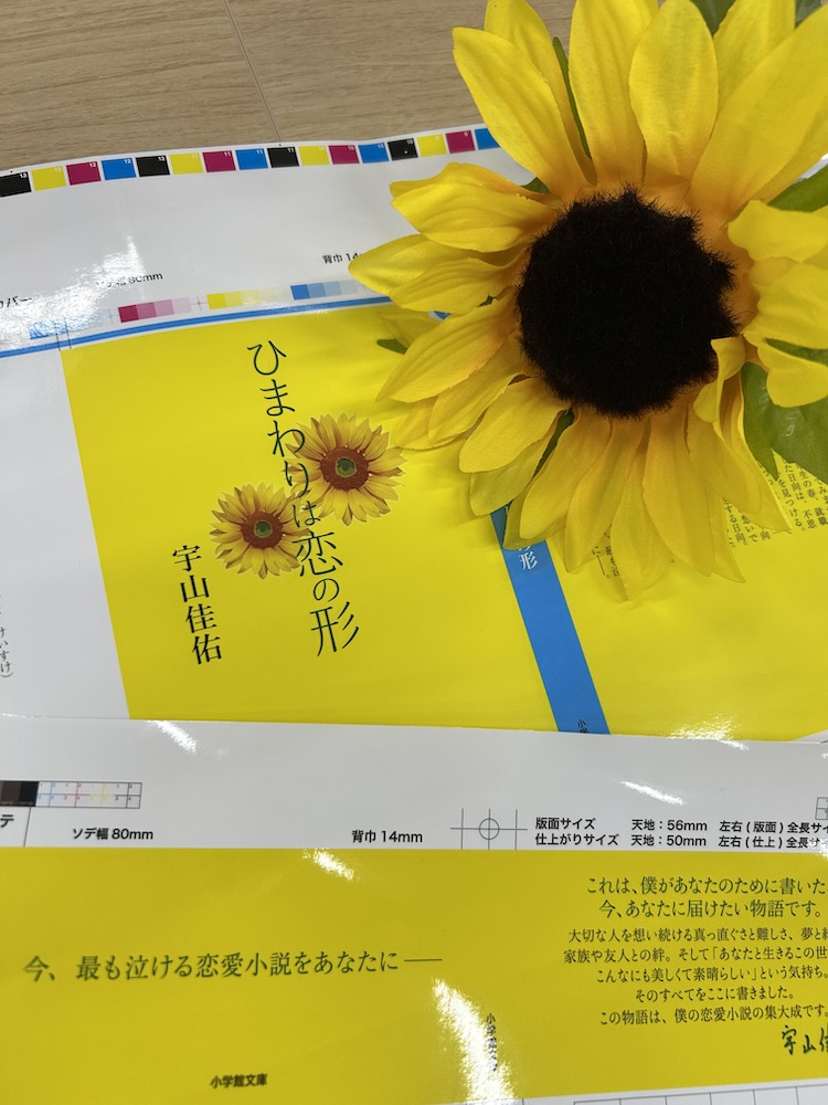 『ひまわりは恋の形』写真