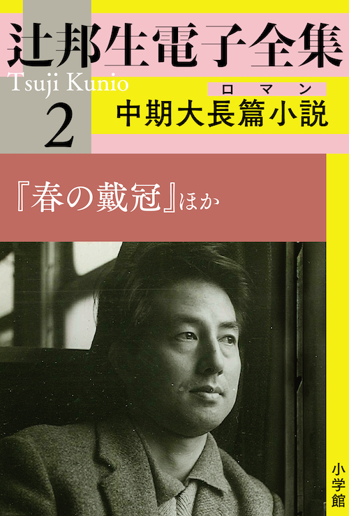 辻邦生電子全集2 中期大長篇小説(ロマン)