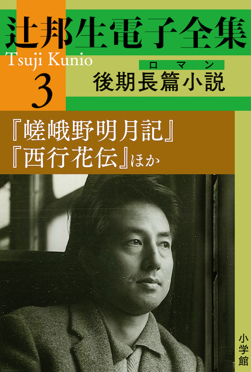 辻邦生電子全集３　後期大長篇小説（ロマン）