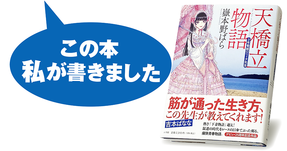 嶽本野ばら『天橋立物語 三年菊組ロリィタ先生』