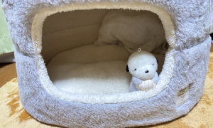 猫用の小さいハウス。ラッコのぬいぐるみが１つ入っている。