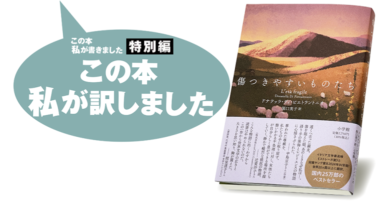 関口英子『傷つきやすいものたち』